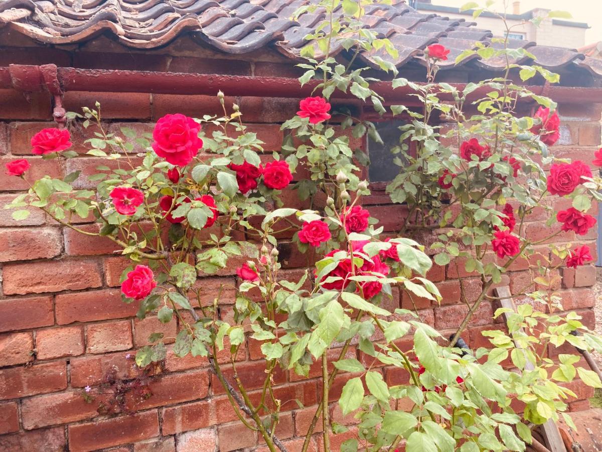 Cosy Cottage Four Miles From Lincoln City Centre Екстериор снимка